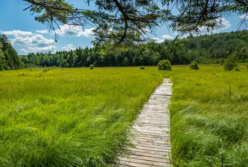 Mountain Top Arboretum, United States